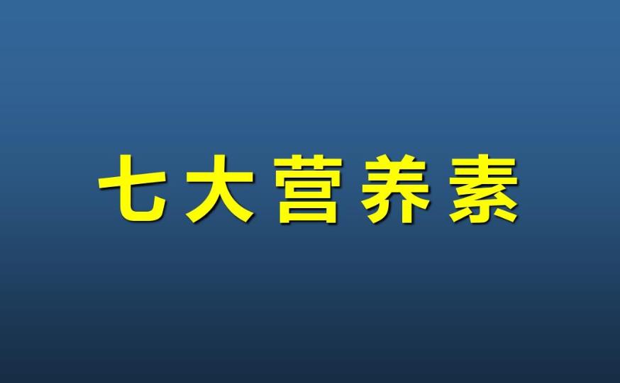 营养素的重要性