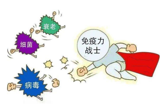 提高免疫力