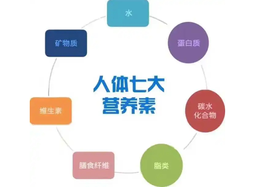 营养素为什么能够调理疾病