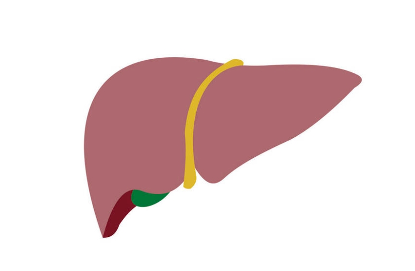 肝脏：2型糖尿病的“幕后黑手”